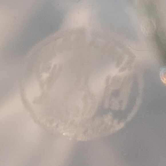 Baccarat Serpentine Crystal Vase - Picture 8 of 10